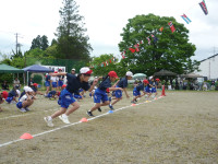 P1030542